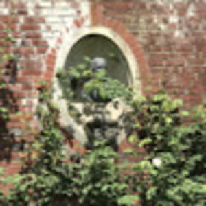 Meet your Posher, Abbie